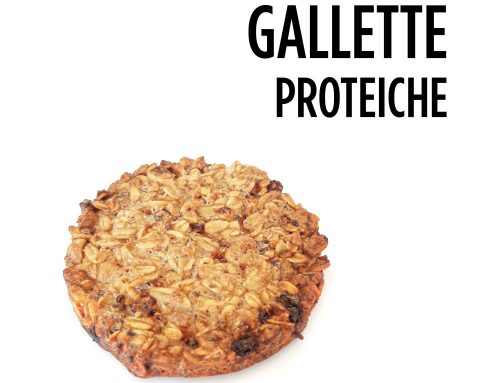 GALLETTE PROTEICHE